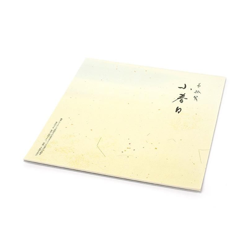 Large Shikishi Practice Book Koharubi 10 Sheets