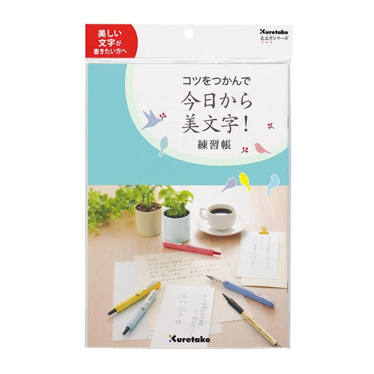 Master the Basics of Beautiful Writing! Practice Book