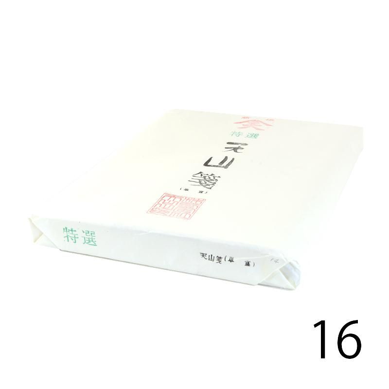 Tokusen Tenzan-sen Hansetsu, 100 Sheets (16)